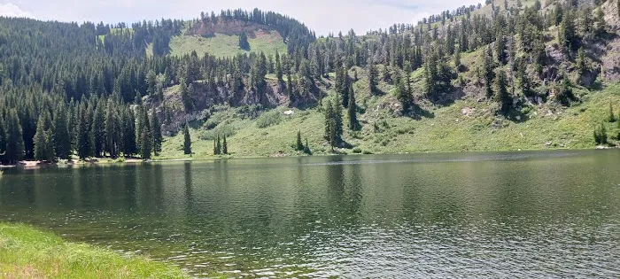 Lewis M. Turner Campground 1