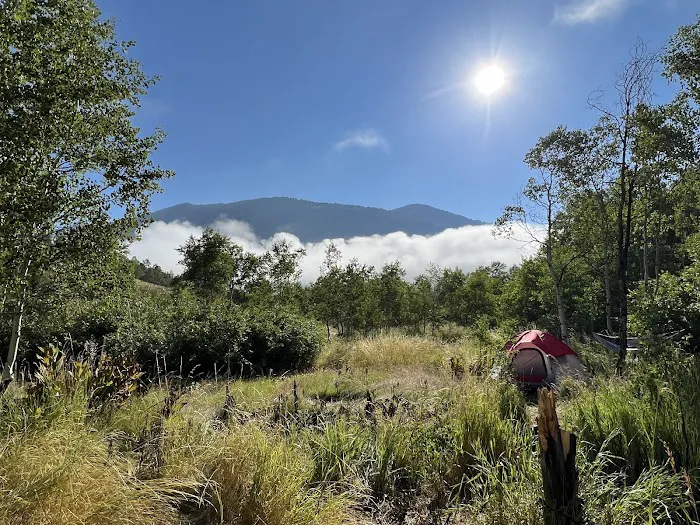Lewis M. Turner Campground 3