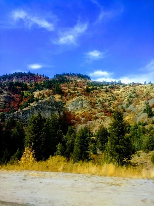 Lewis M. Turner Campground 5