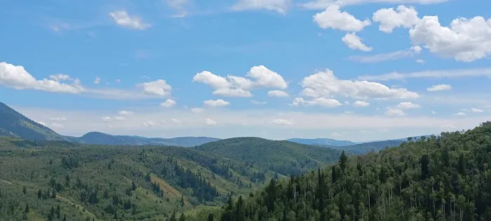 Lewis M. Turner Campground 9