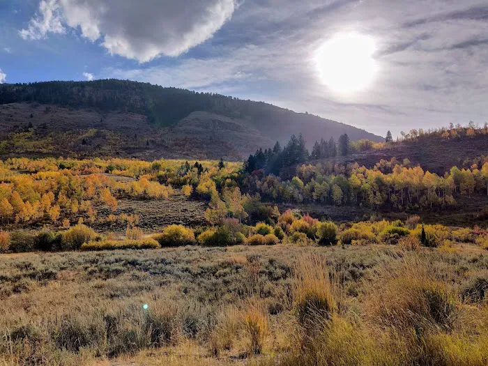 Red Banks Campground 0