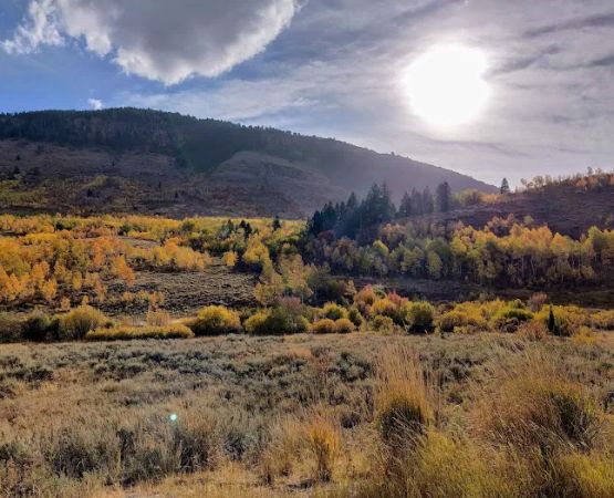 Red Banks Campground