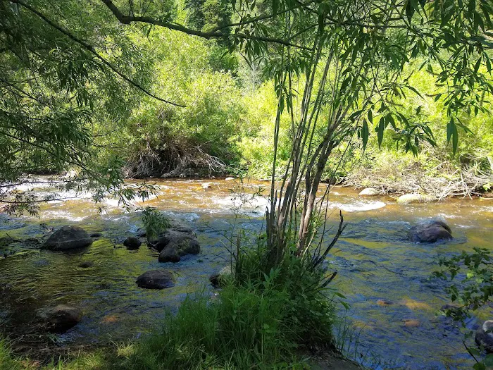 Red Banks Campground 3