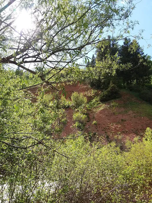 Red Banks Campground 9
