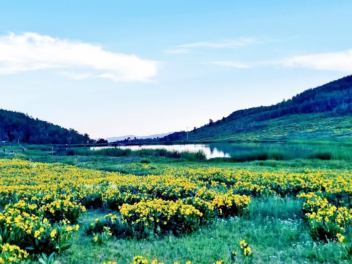 Sunridge Highlands 5
