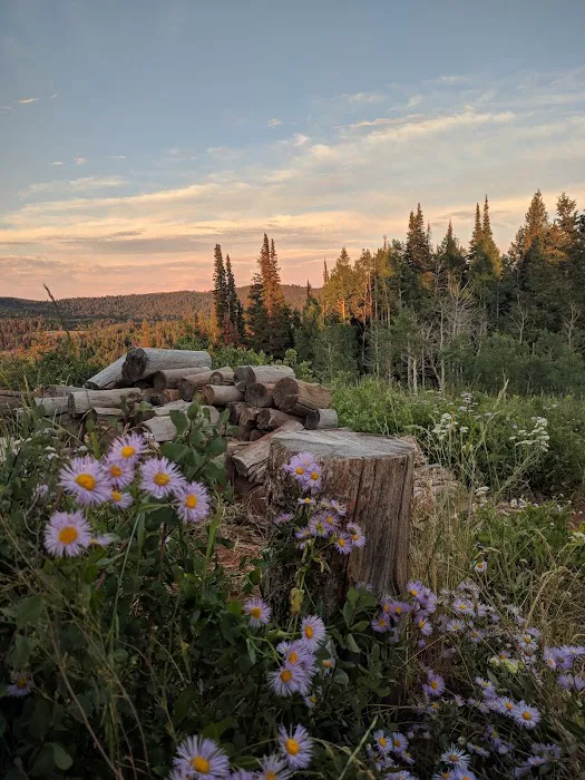 Red Spur Recreation Camp 1