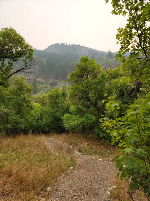 Cinnamon Creek Camp 6