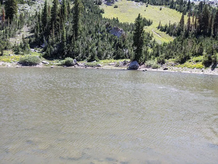 Willard Basin Campground 4
