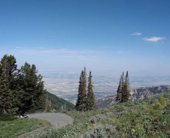 Willard Basin Campground
