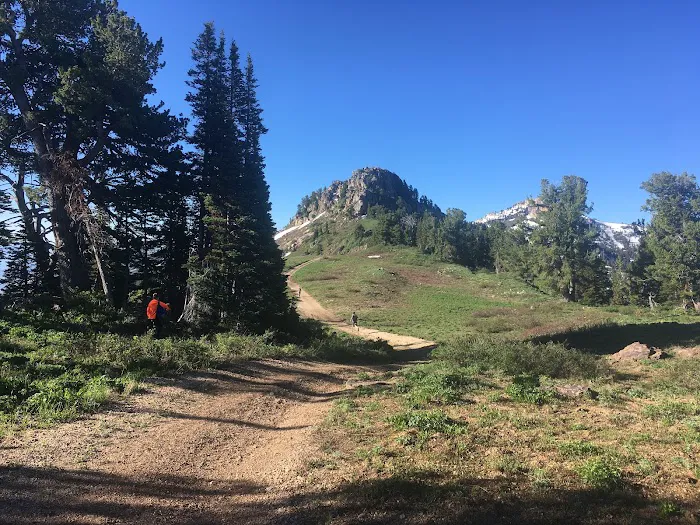 Willard Basin Campground 6