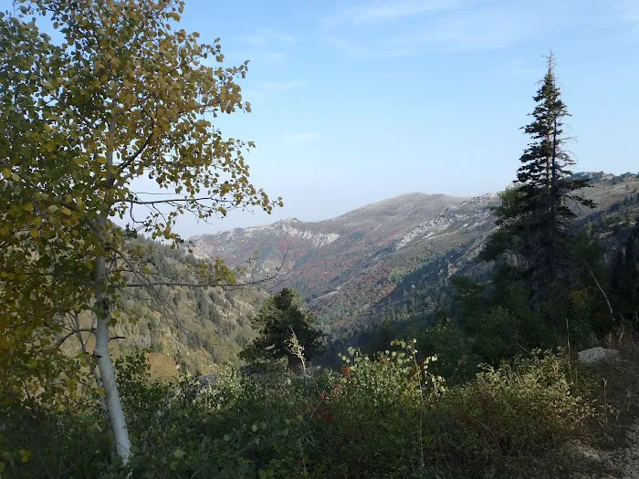 Willard Basin Campground 9