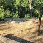 Prevedel Park Campsite #8