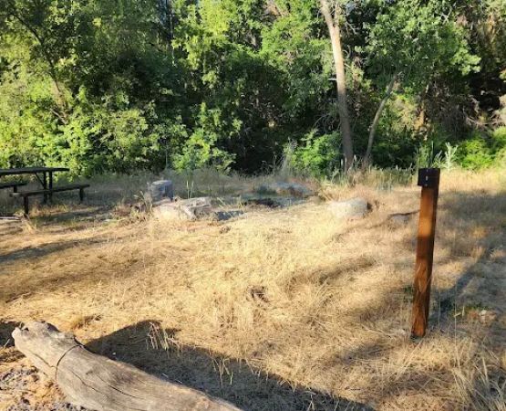 Prevedel Park Campsite #8
