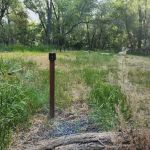 Prevedel Park Campsite #5