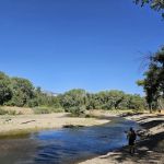 Prevedel Park Campsite #3