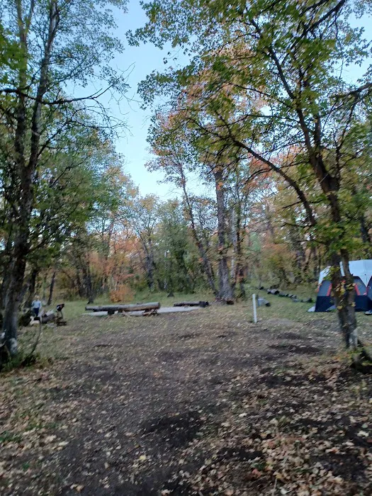 Camp Cumorah 9