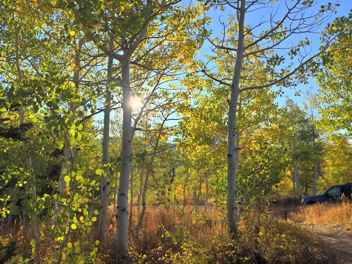 Bountiful Peak Campground 3