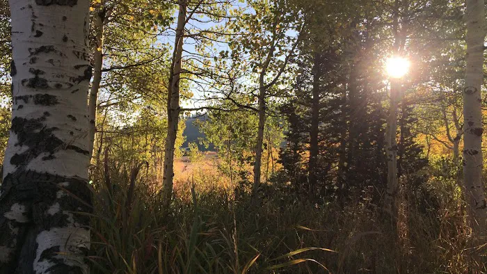 Bountiful Peak Campground 5