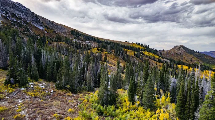 Bountiful Peak Campground 9