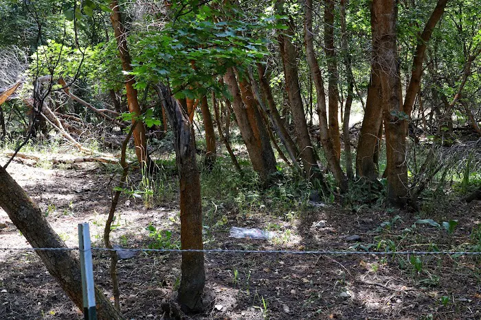 Middle Canyon Campground 4
