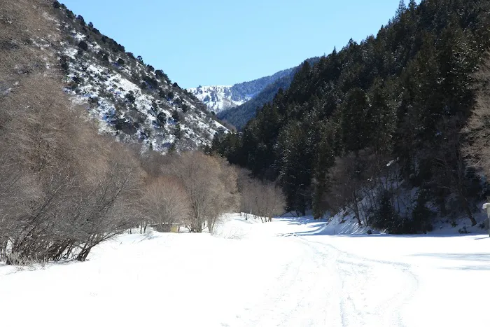 Middle Canyon Campground 6