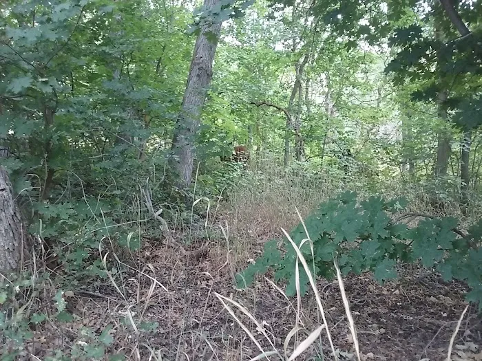 Legion Park Campground 5