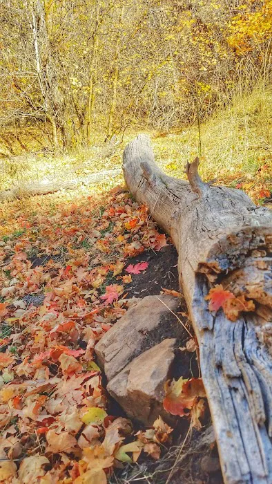 Legion Park Campground 9