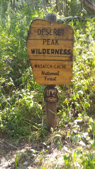 Loop Campground 5