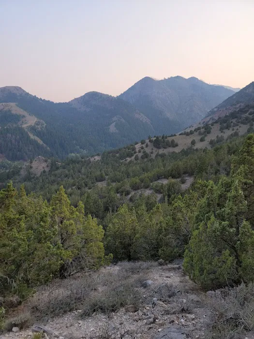 Loop Campground 1