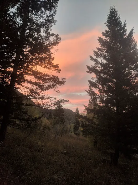 Loop Campground 0