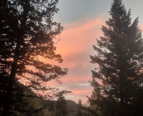 Loop Campground