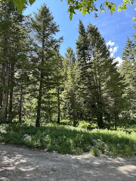 Loop Campground 4
