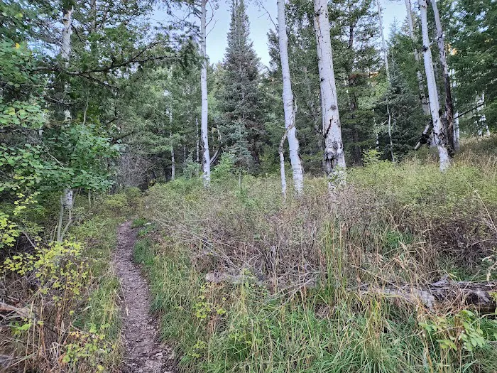 Loop Campground 7