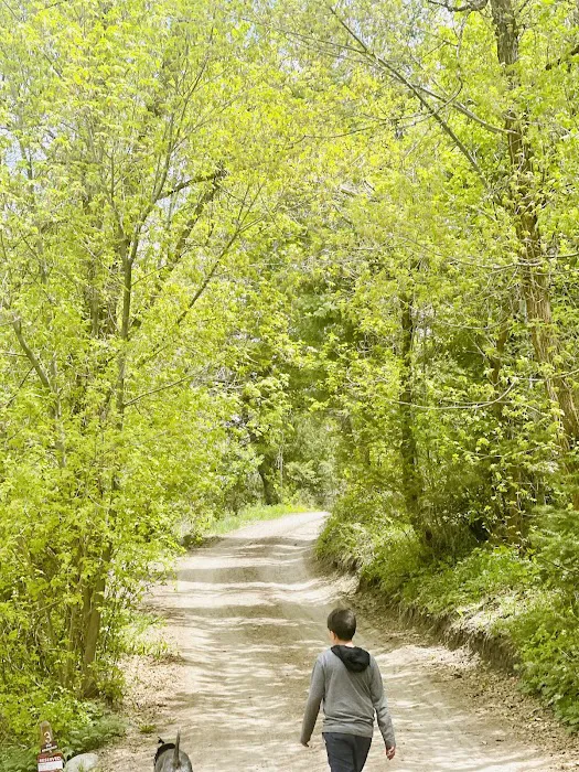 BOY SCOUT (recgovnpsdata) 4