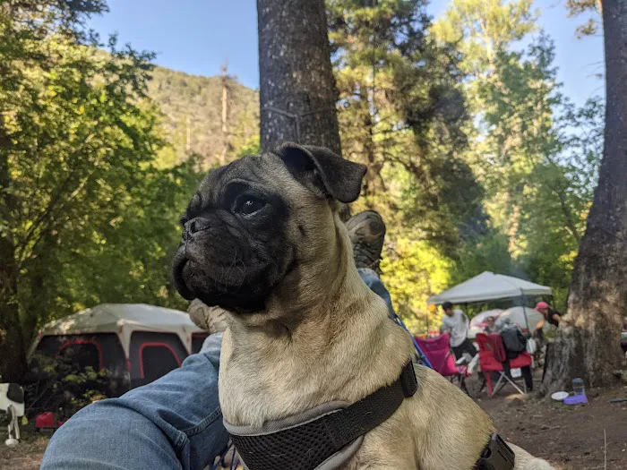 Lower Narrows Campground 1