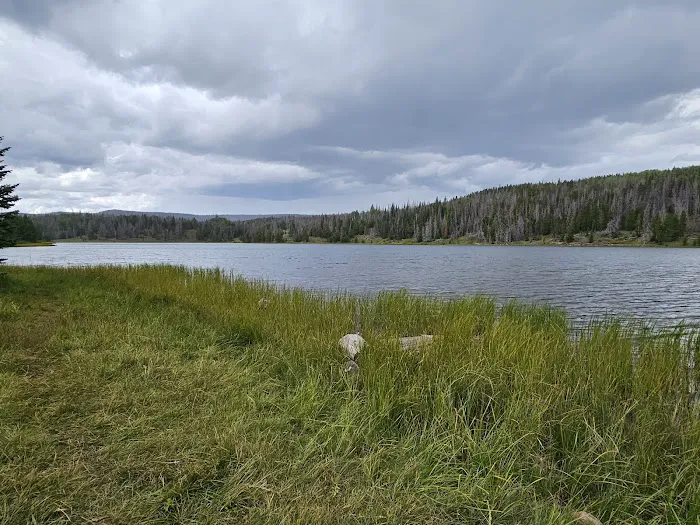 Boy Scout Campground 3