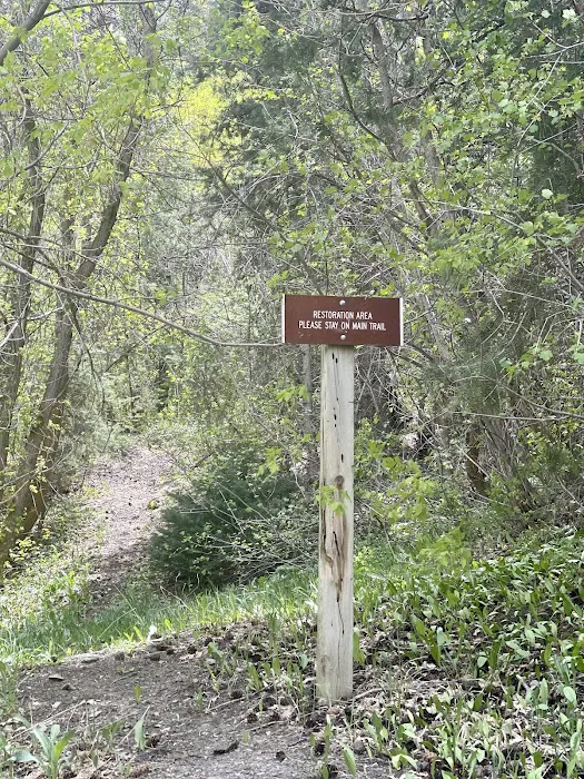 Boy Scout Campground 5