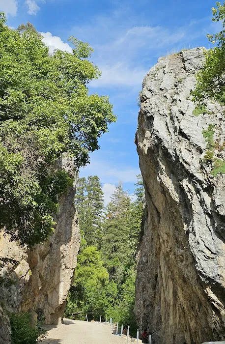 Upper Narrows Campground 1