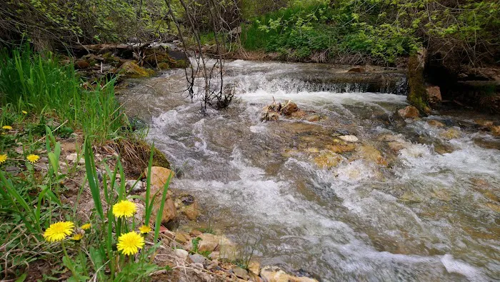 Upper Narrows Campground 4