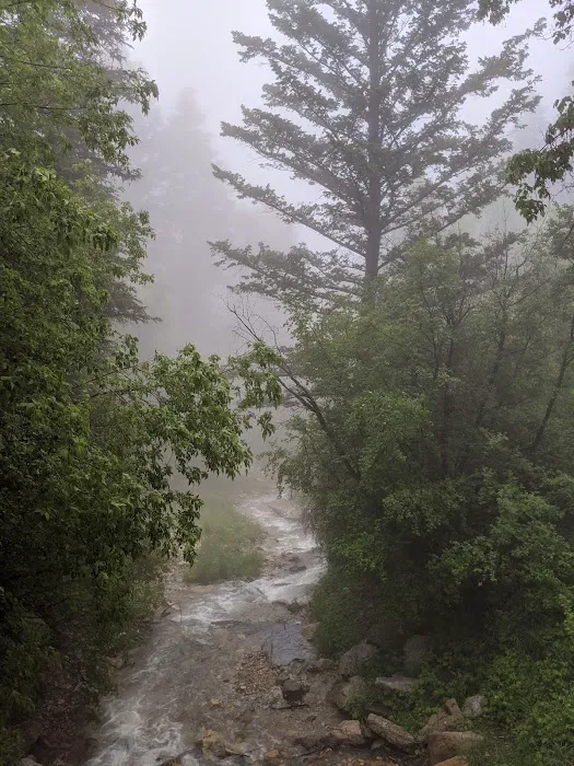 Upper Narrows Campground 7