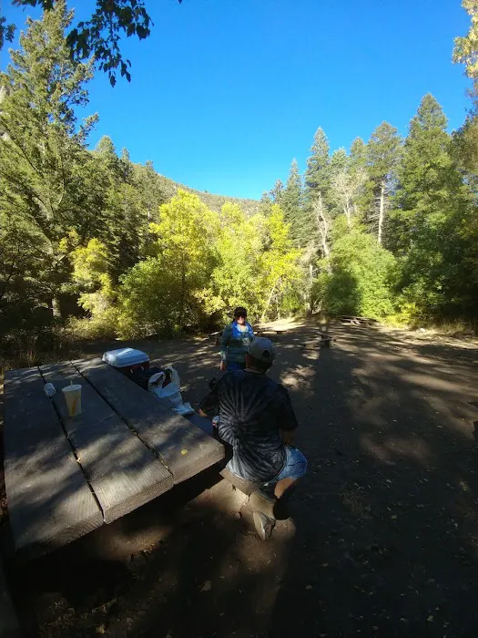 Upper Narrows Campground 8