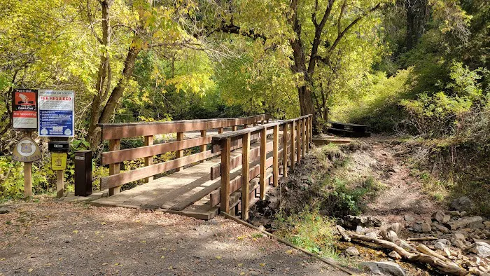 Upper Narrows Campground 5