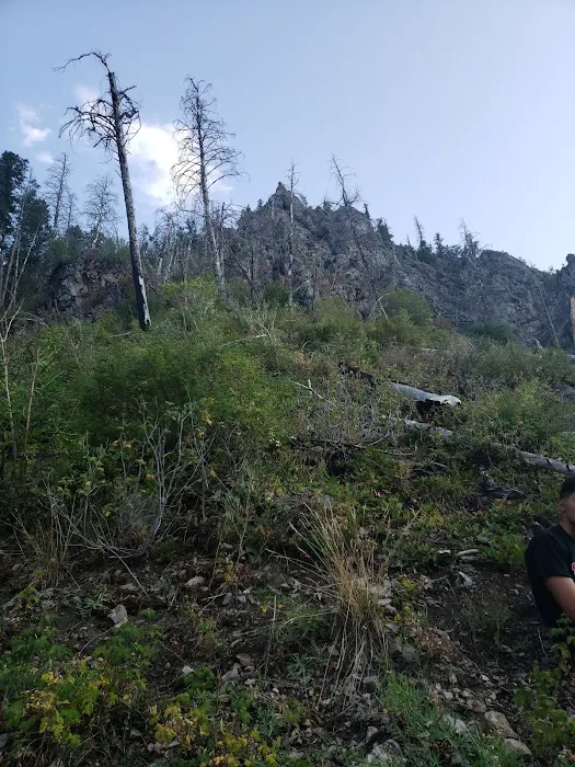 Upper Narrows Campground 2