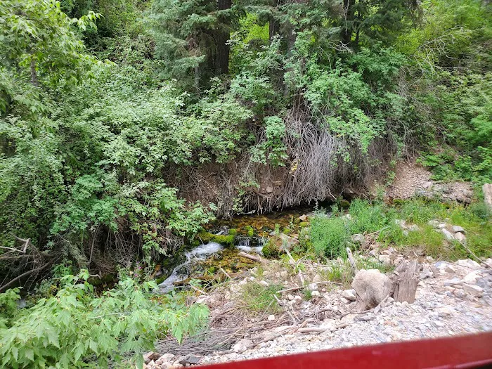 Upper Narrows Campground 9