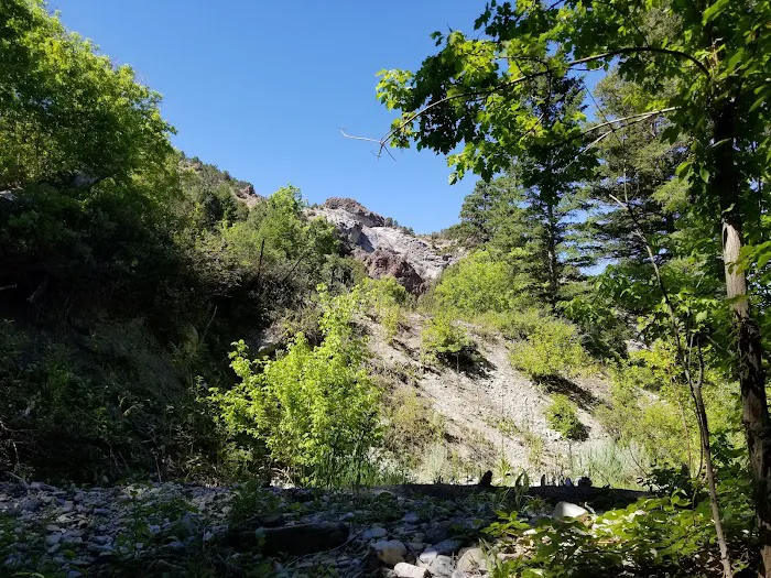 Intake Campground 3
