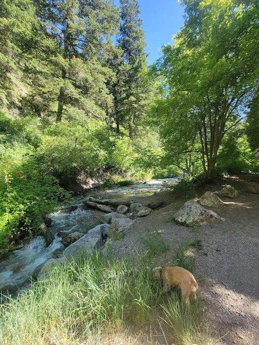 Intake Campground 7