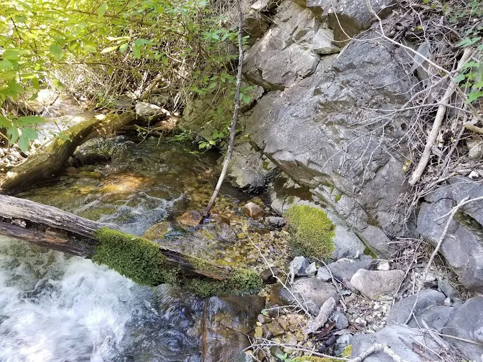 Intake Campground 4