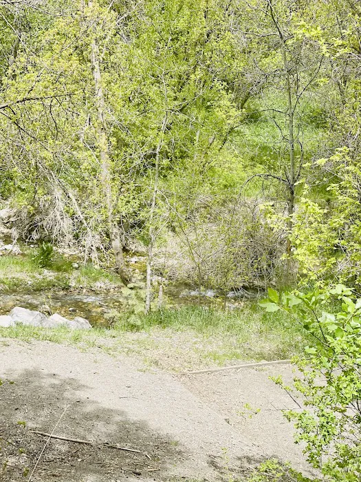 Intake Campground 1