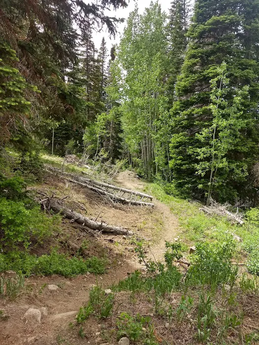 Cottonwood Campground 8