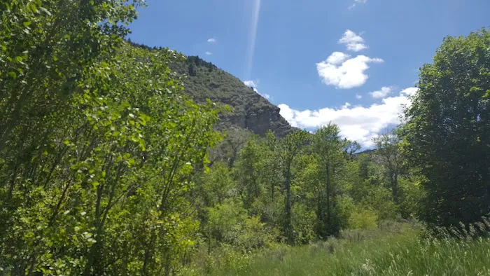 Cottonwood Campground 6
